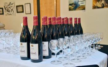 EFI Catering - raut - wine